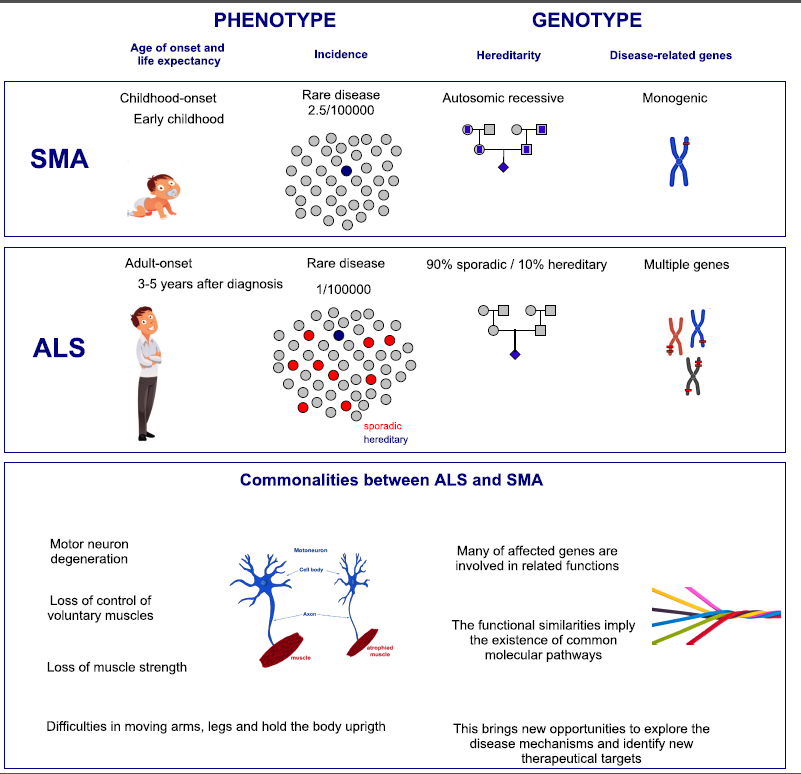 ALS and SMA